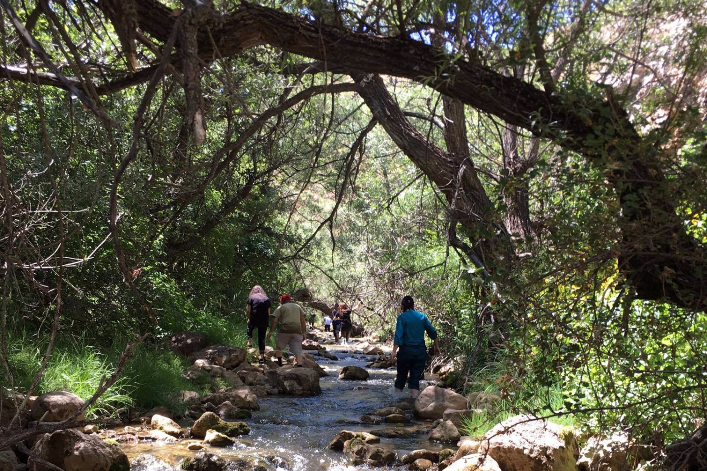 Gümüşhaneli dağcılardan Kelkit kanyonunda zorlu yürüyüş 6
