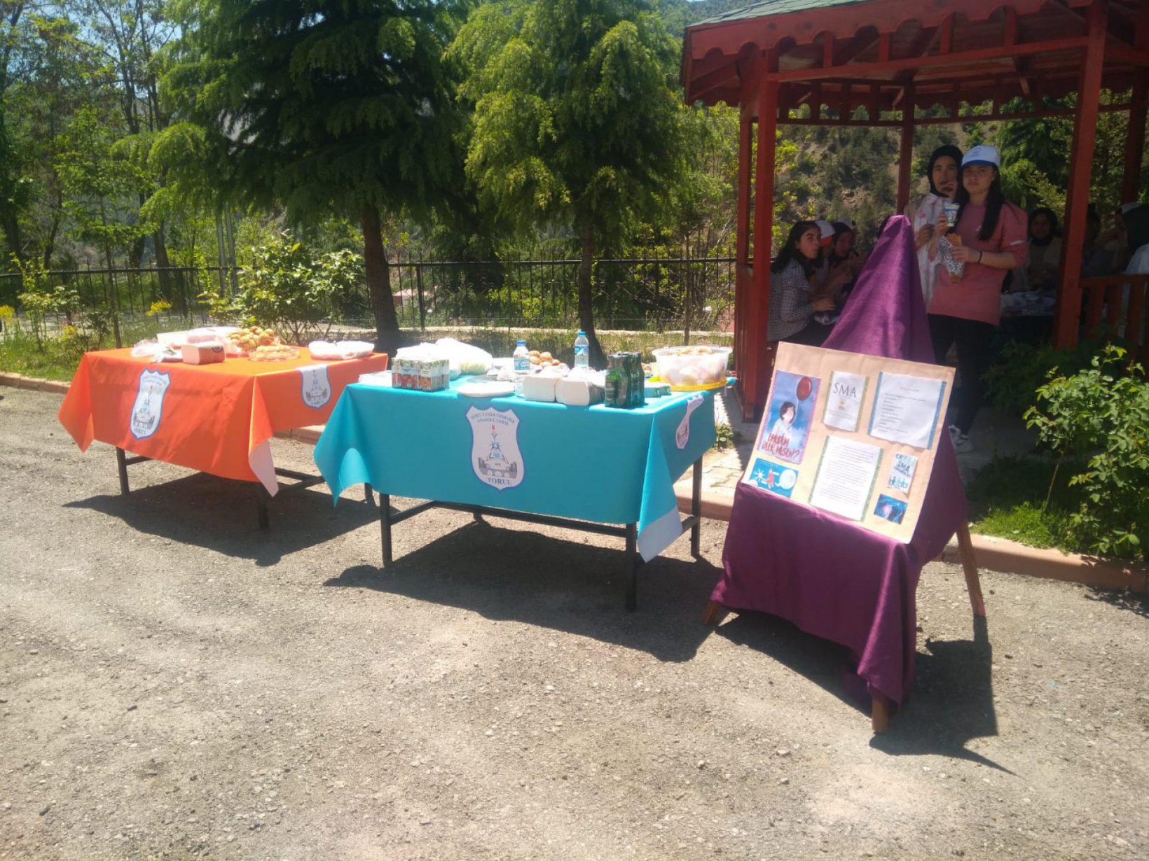 Şehit Tamer Özdemir Anadolu Lisesinden anlamlı bahar şenliği 22