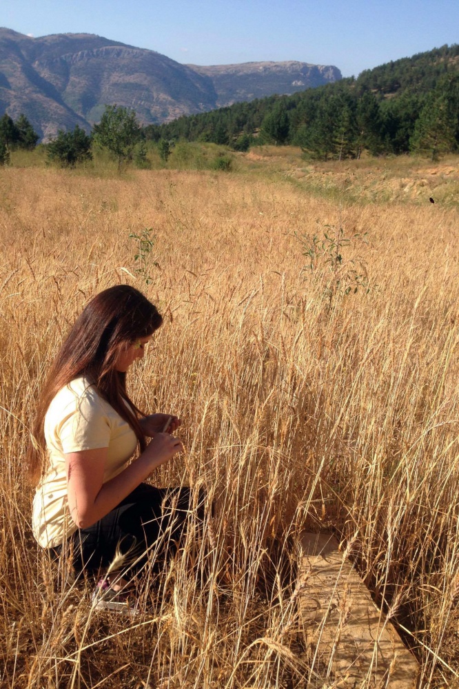 Bu köyde kuşlar aç kalmadı 4