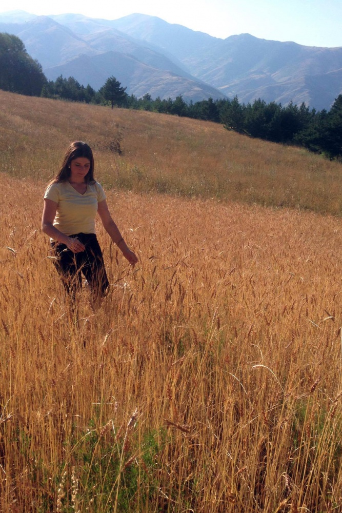 Bu köyde kuşlar aç kalmadı 3