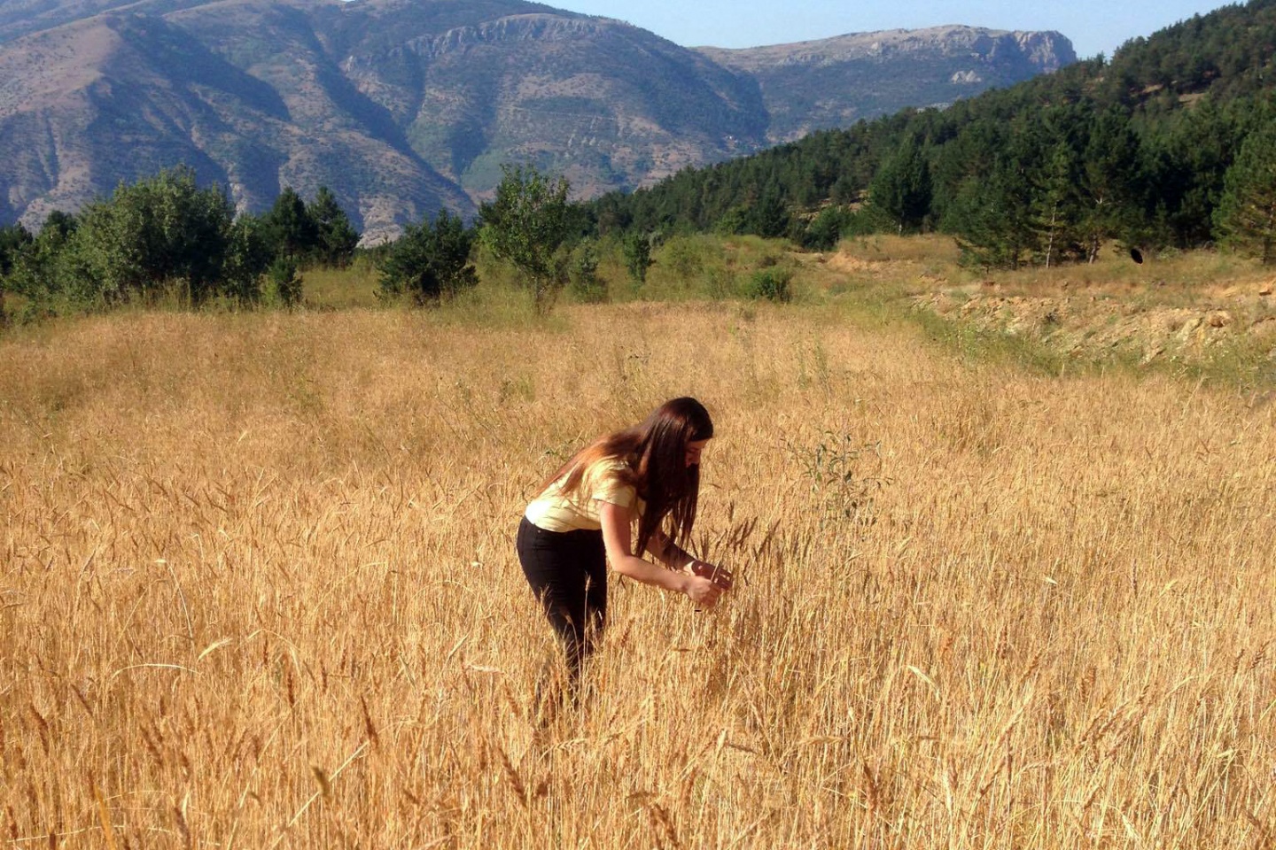 Bu köyde kuşlar aç kalmadı 5