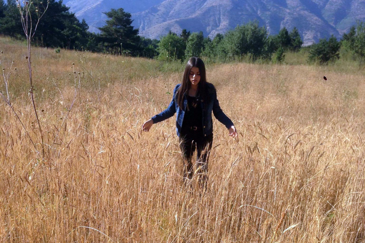 Bu köyde kuşlar aç kalmadı 1