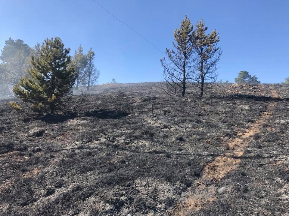 Tersun dağında yangın 1