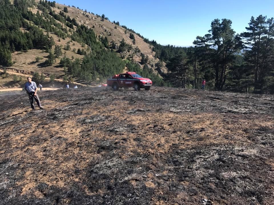 Tersun dağında yangın 7