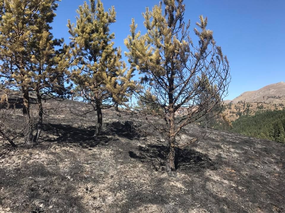 Tersun dağında yangın 6