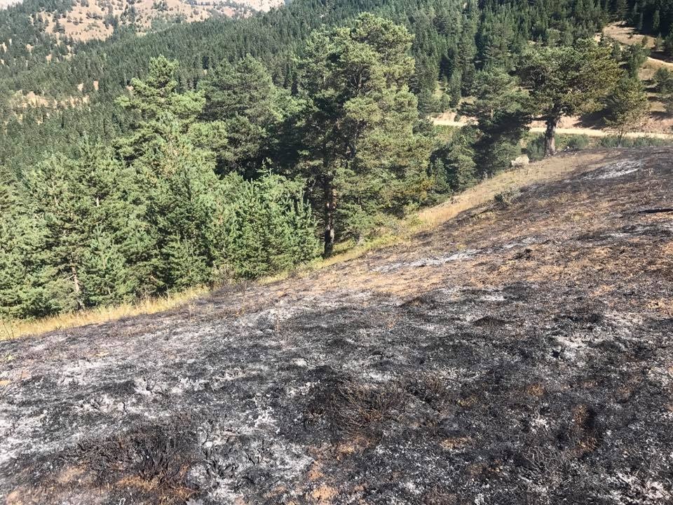 Tersun dağında yangın 2