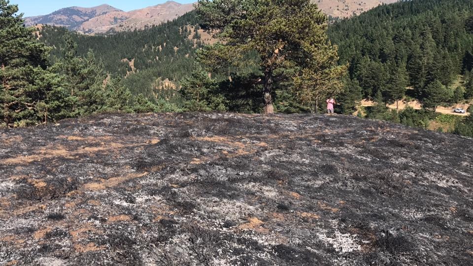 Tersun dağında yangın 10