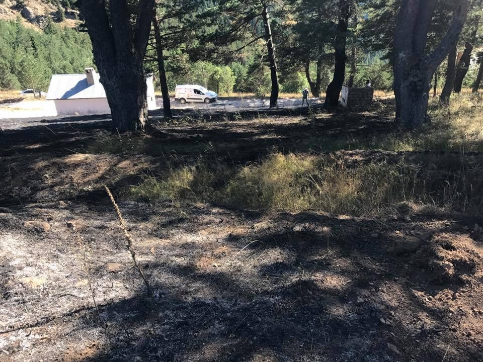 Tersun dağında yangın 4