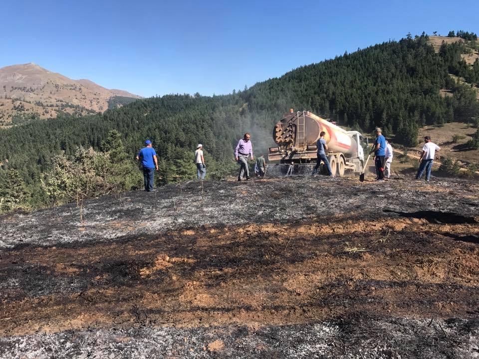 Tersun dağında yangın 5