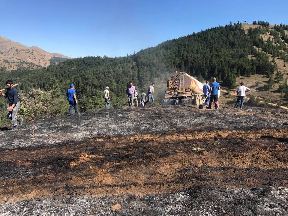 Tersun dağında yangın 9