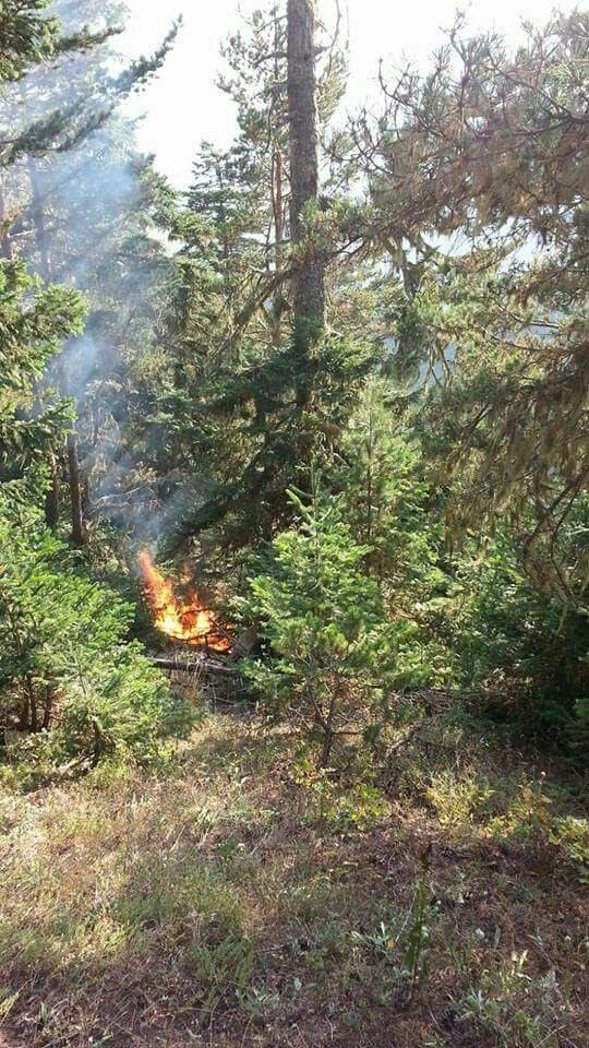 Gümüşhane’deki yangın kontrol altına alındı 1