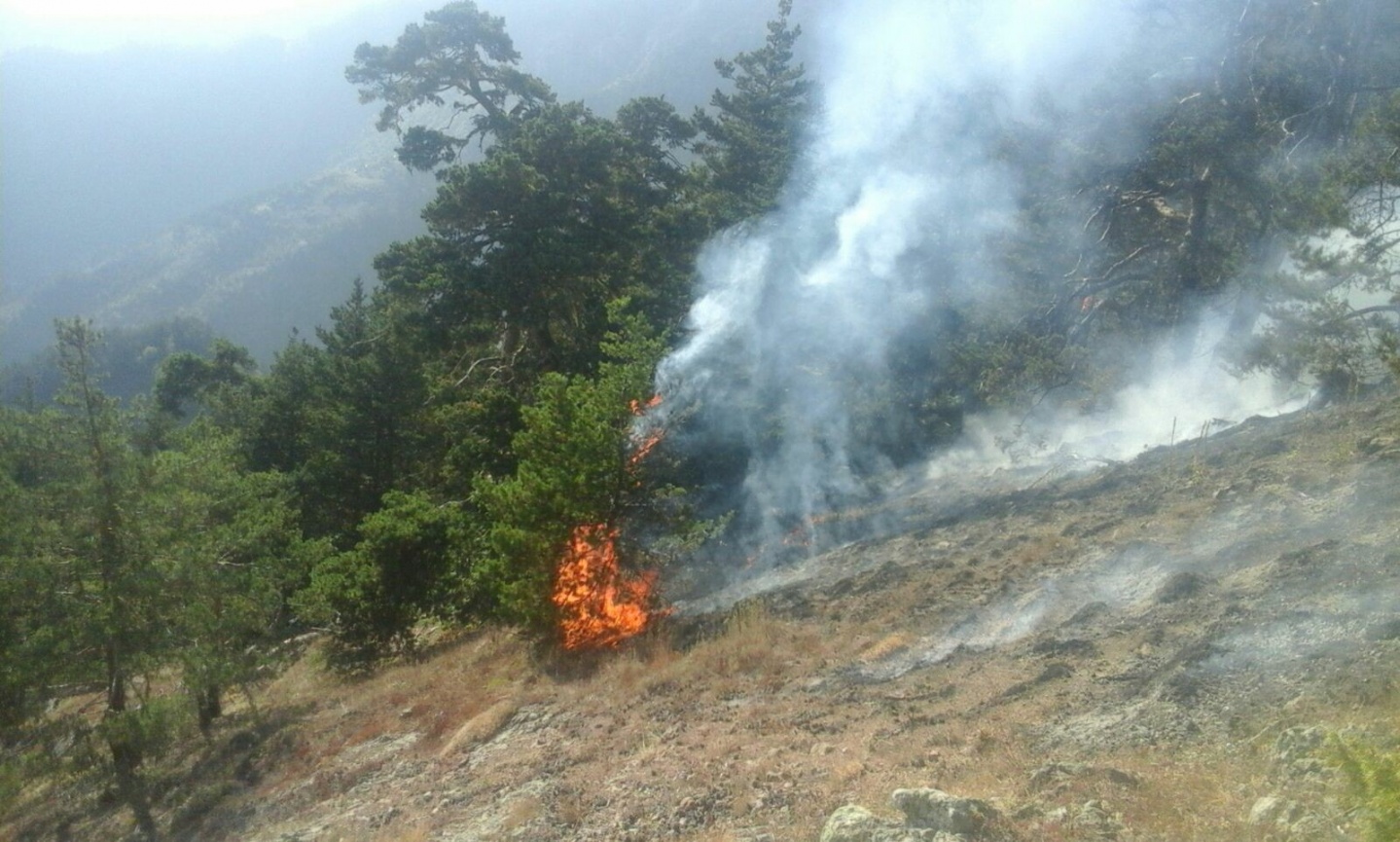 Gümüşhane’deki yangın kontrol altına alındı 7
