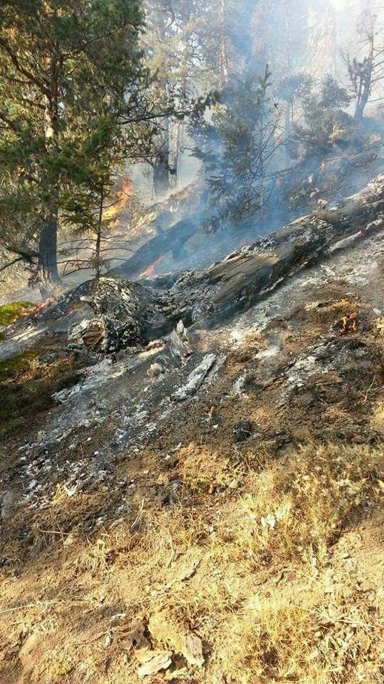 Gümüşhane’deki yangın kontrol altına alındı 3