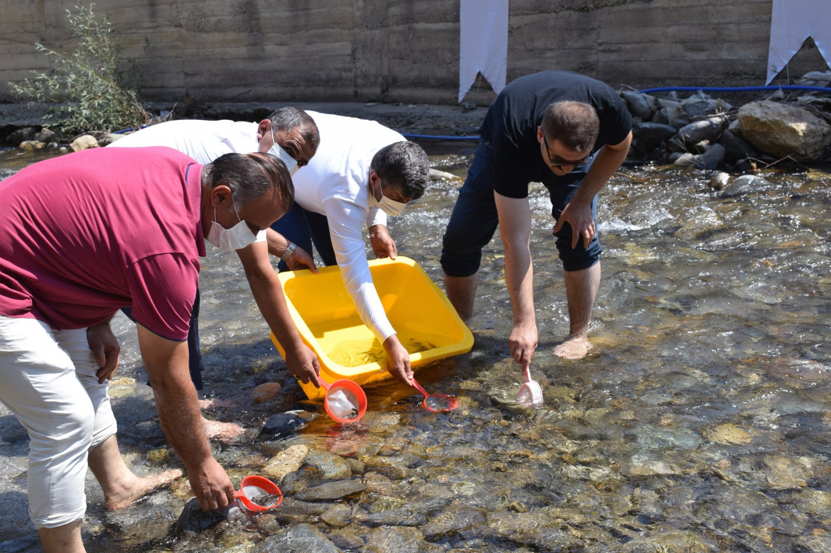 Gümüşhane’de derelere 10 bin alabalık daha bırakıldı 1