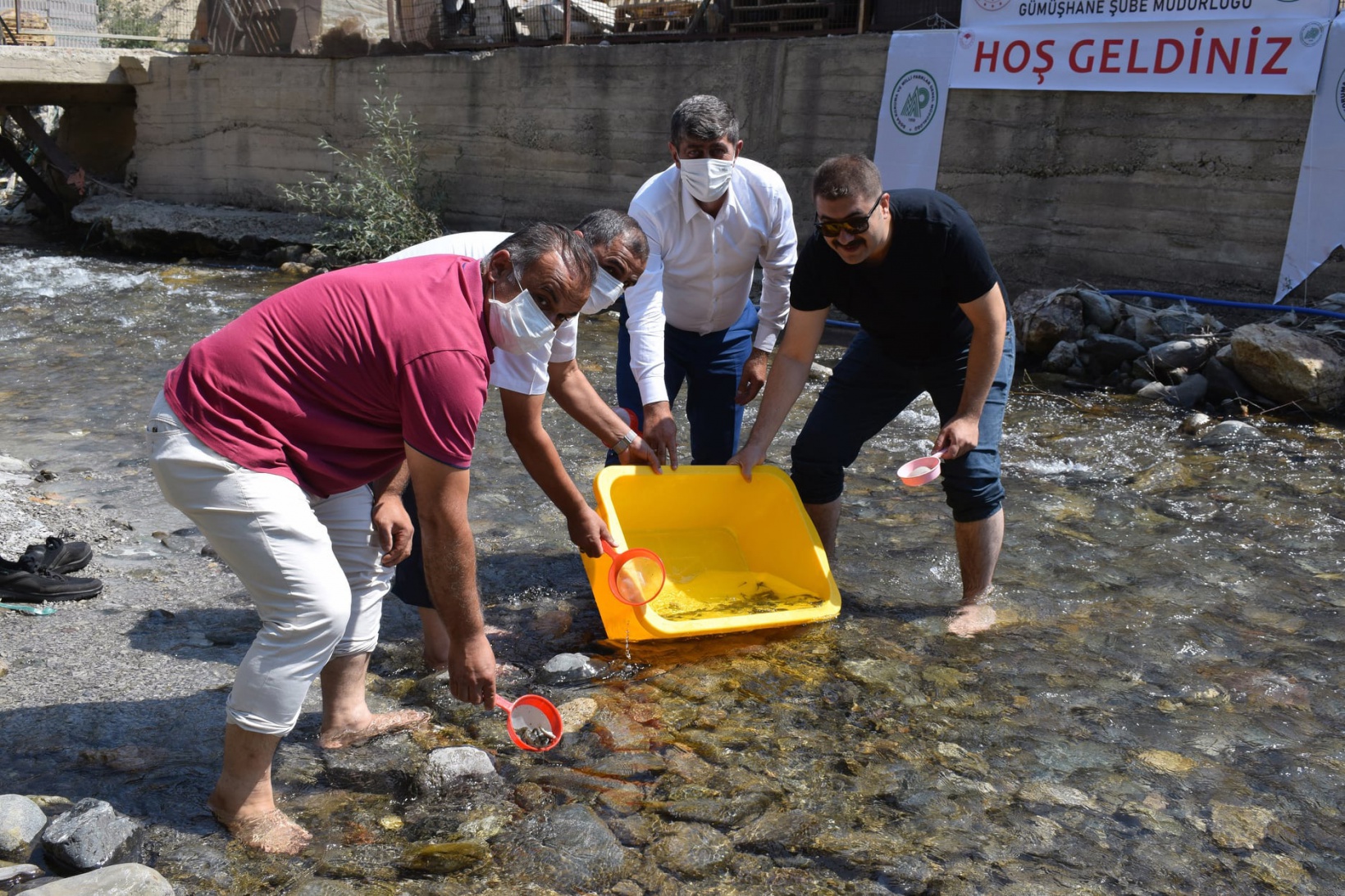 Gümüşhane’de derelere 10 bin alabalık daha bırakıldı 3