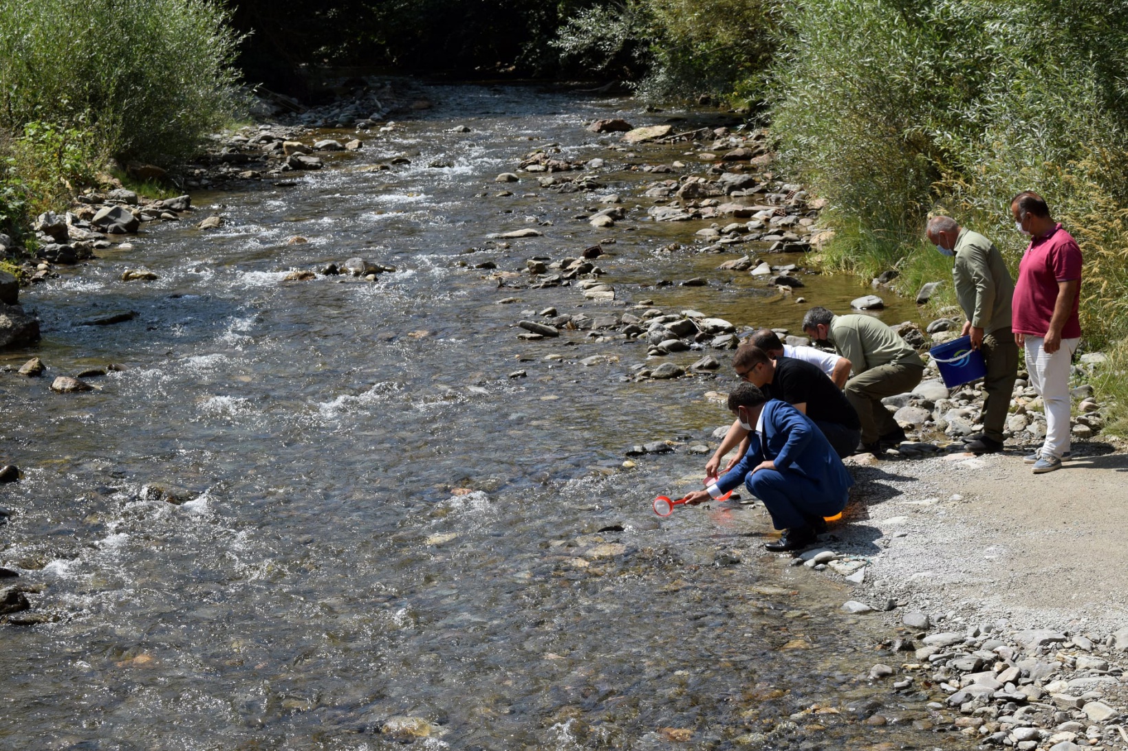 Gümüşhane’de derelere 10 bin alabalık daha bırakıldı 5