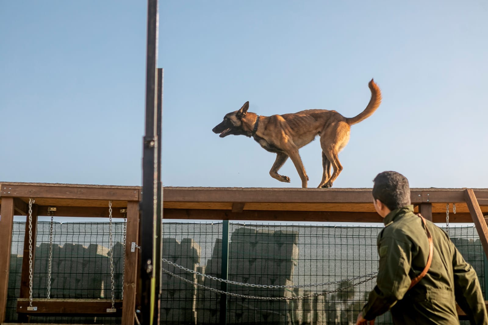 GÜ Köpekli Arama Kurtarma Çalıştayına katıldı 5