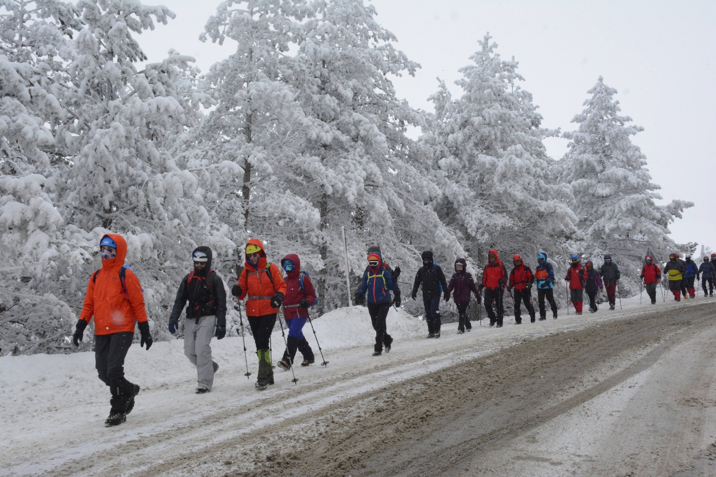 Zigana Dağı'nda çığda ölen 10 dağcı felaketin 9. yılında törenle anıldı   14