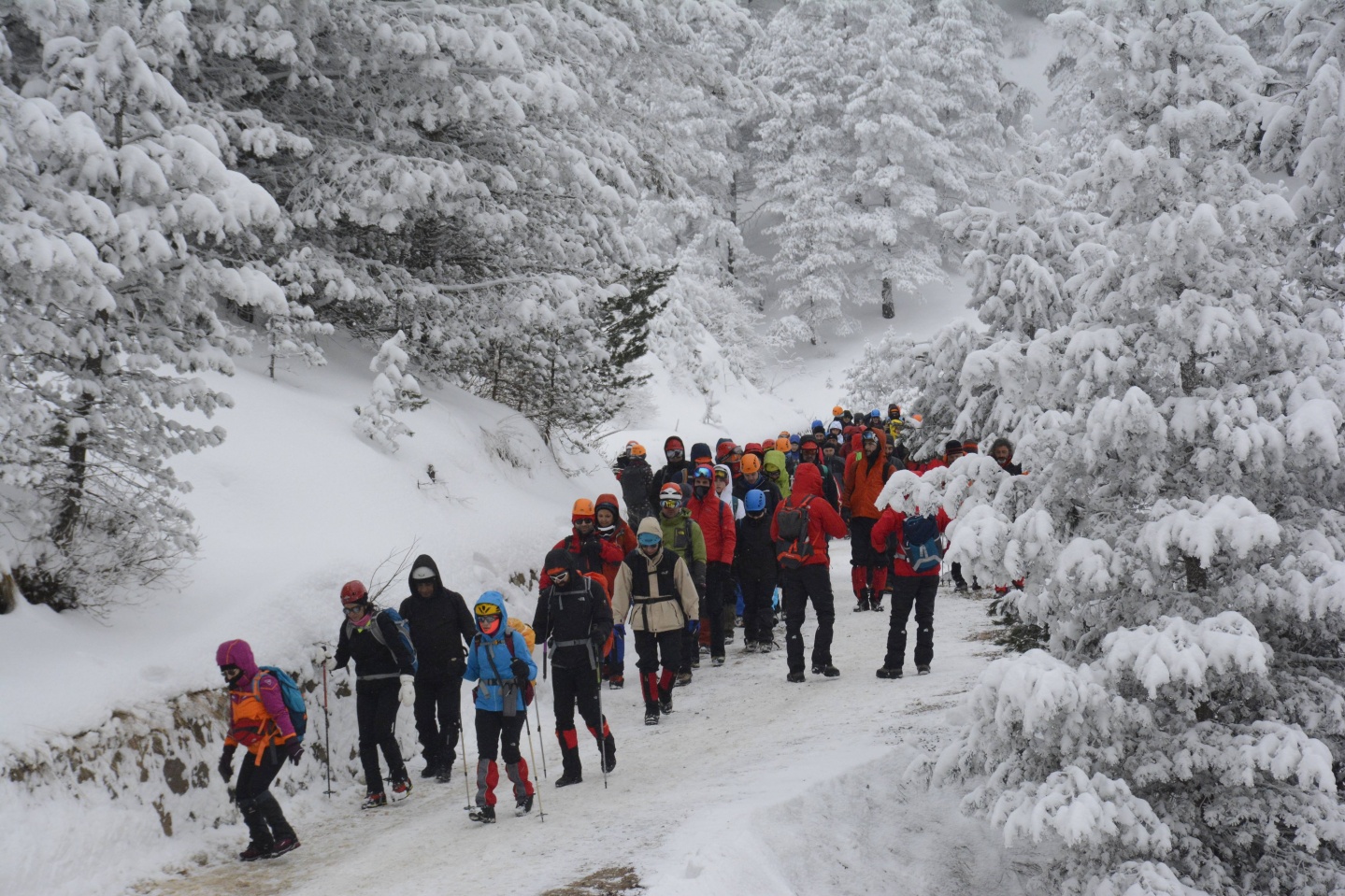 Zigana Dağı'nda çığda ölen 10 dağcı felaketin 9. yılında törenle anıldı   29