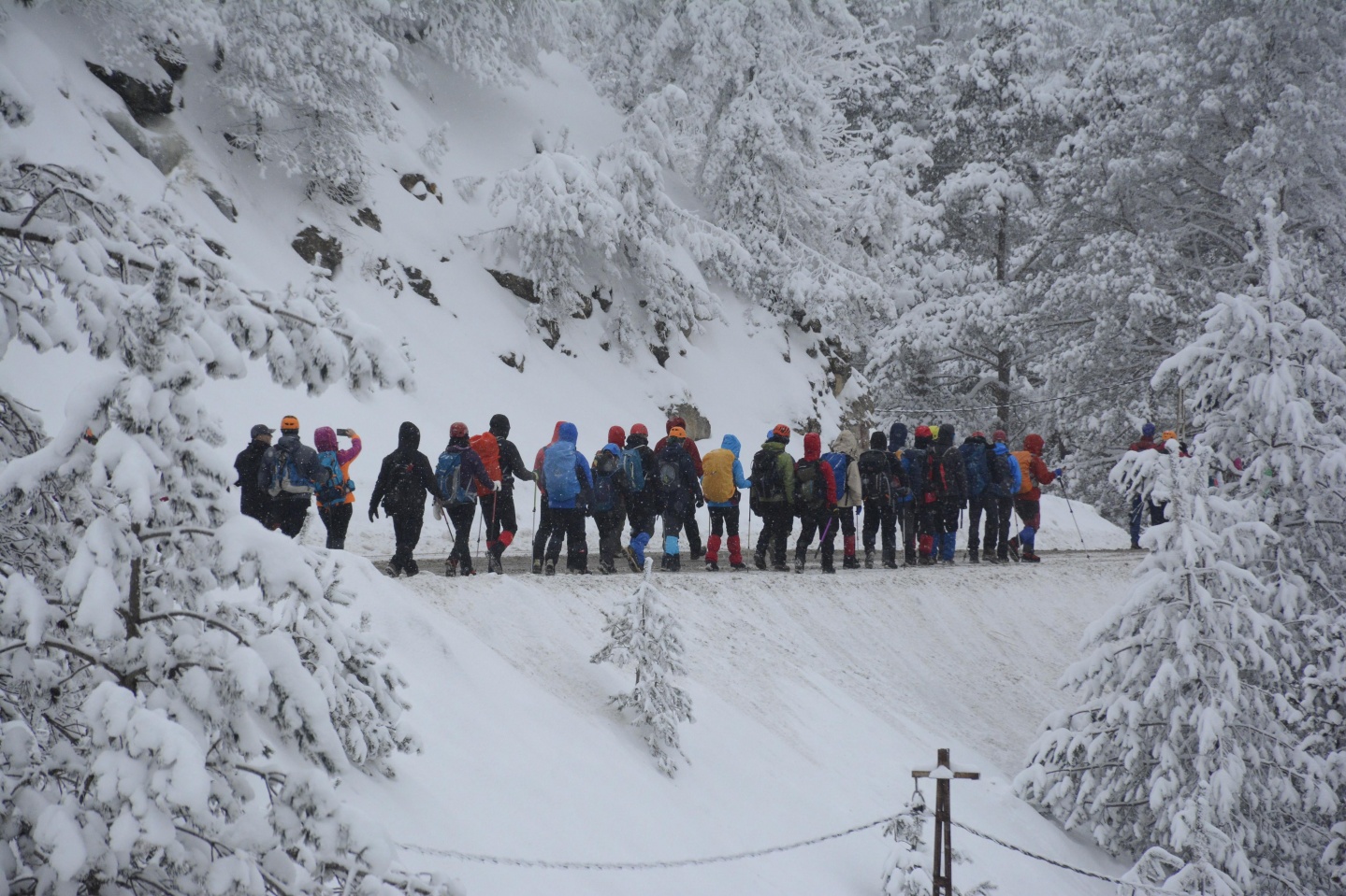Zigana Dağı'nda çığda ölen 10 dağcı felaketin 9. yılında törenle anıldı   34