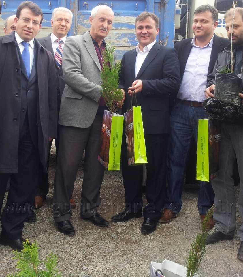 Çimen, Şehrin Hizmetinde  2