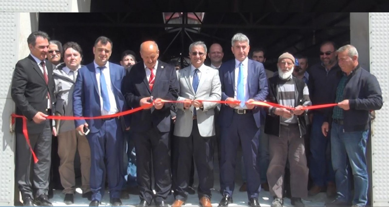 Kelkit’te damızlık sığır işletmesi açıldı 1