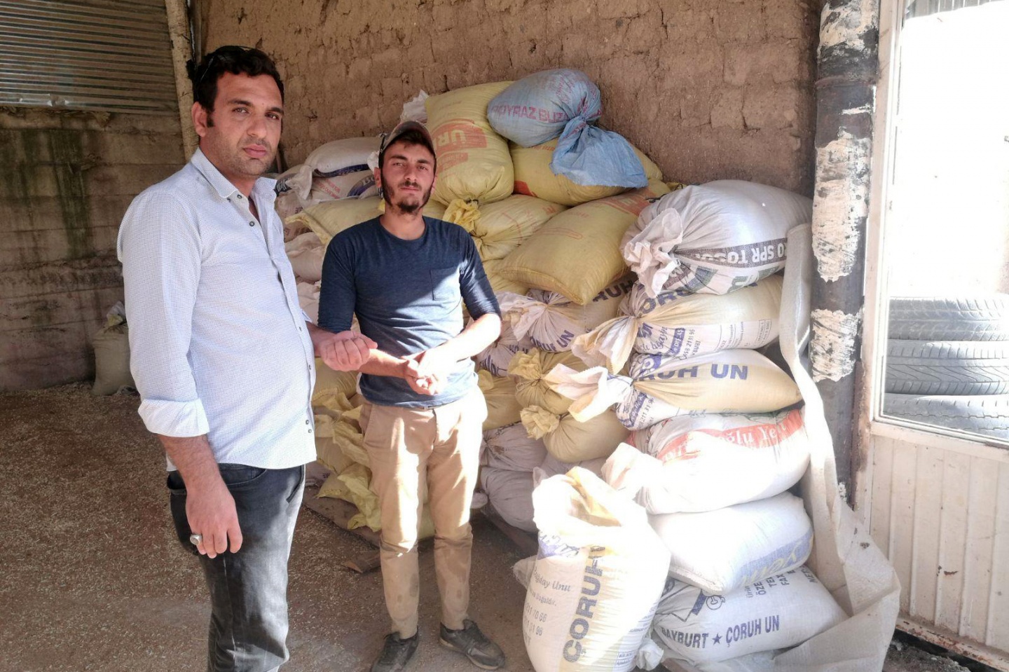 Gümüşhane’de Kinoa'nın ilk hasadı yapıldı 2