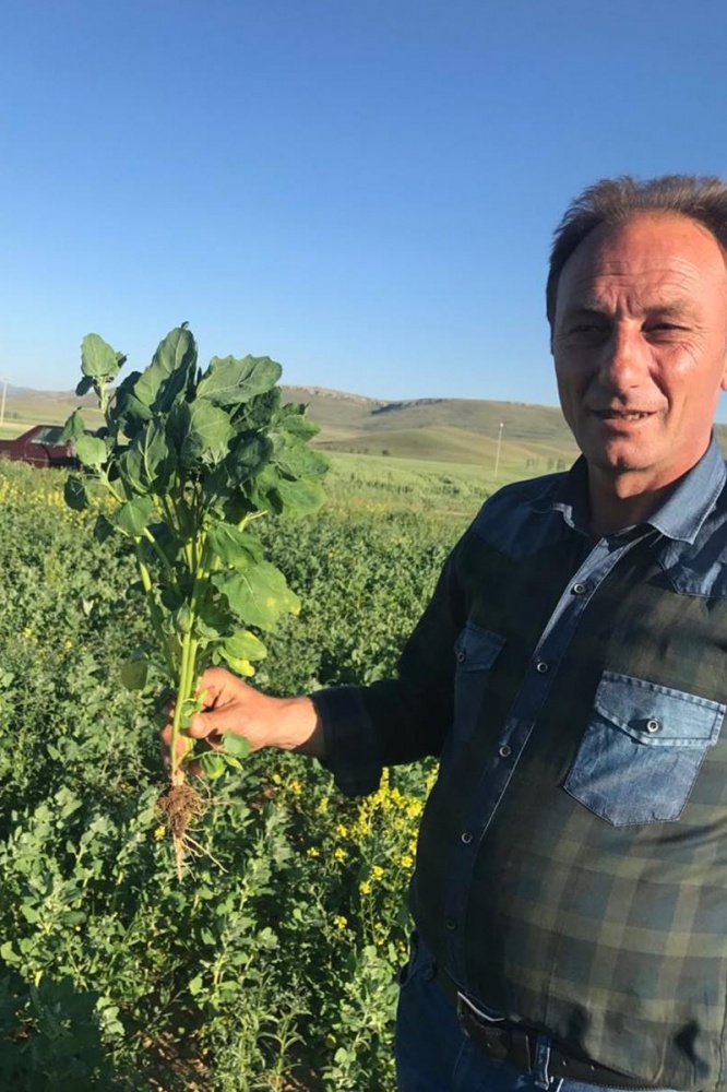 Gümüşhane’de Kinoa'nın ilk hasadı yapıldı 4