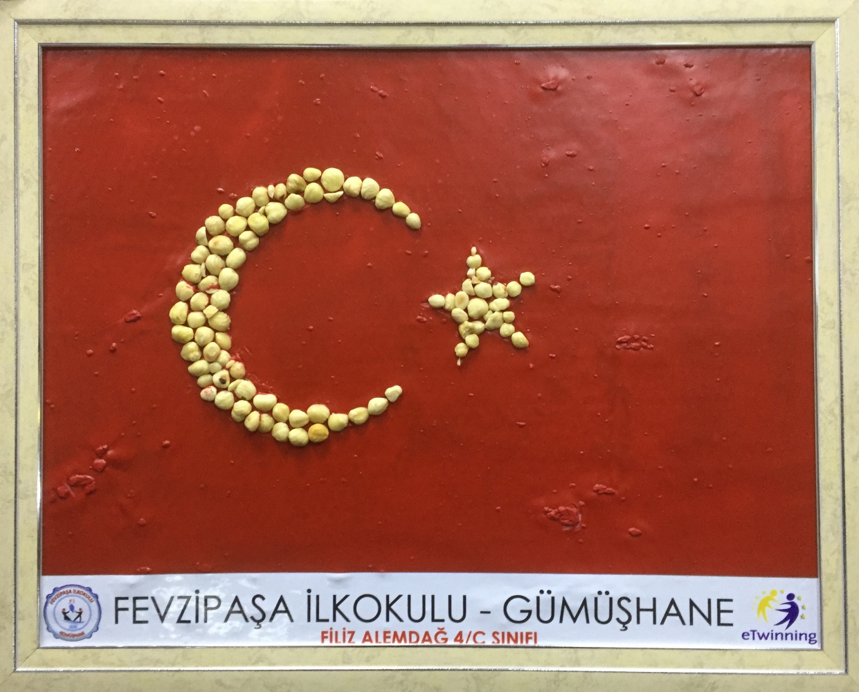 Kuşburnu pestilinden Türk bayrağı tasarladılar 3