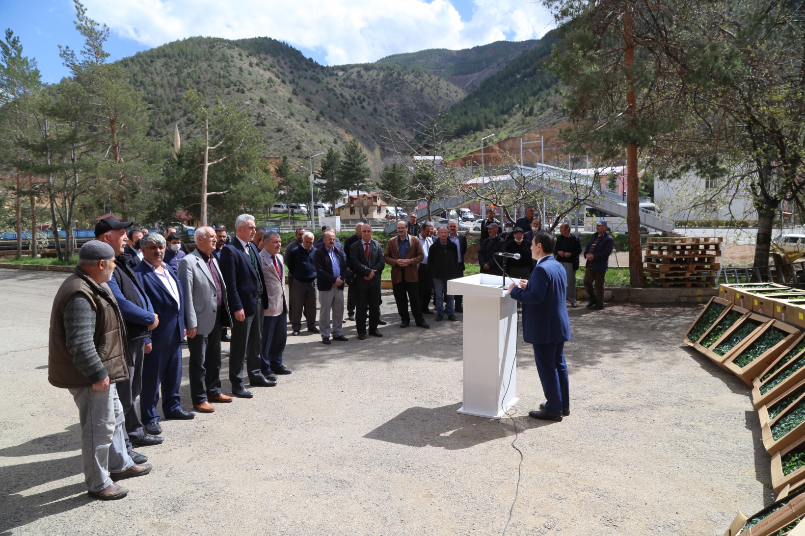 Gümüşhane’de üreticilere 150 bin sebze fidesi dağıtıldı 7