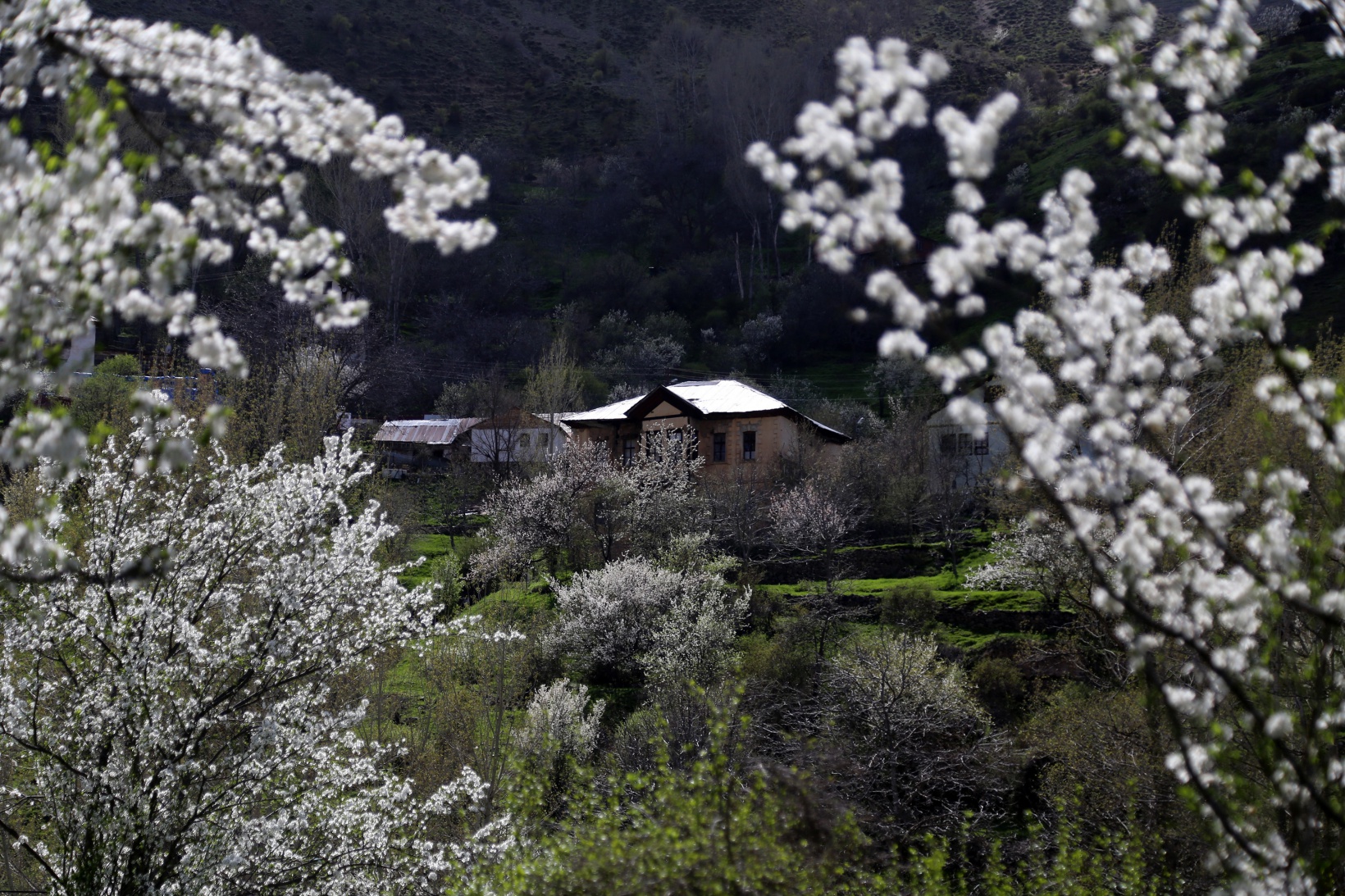 Tarihi mahalle bahar renklerine büründü, görsel şölen oluştu 2
