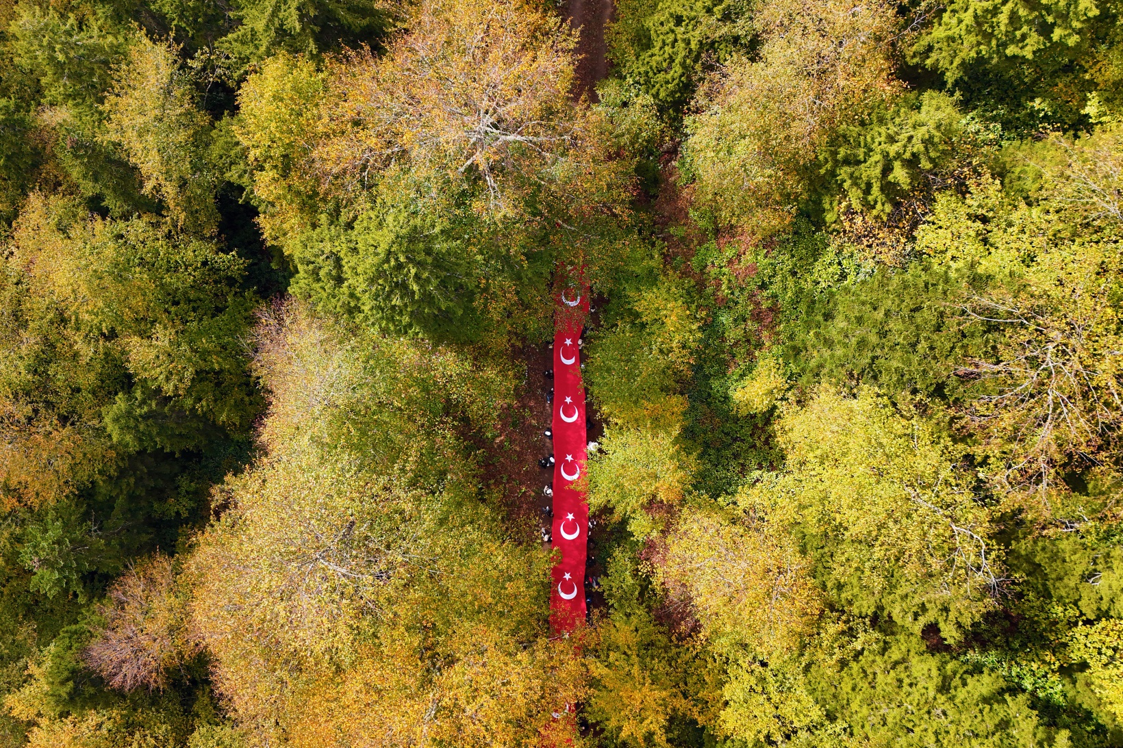 Örümcek Ormanlarında "Ormanlar İçin El Ele" etkinliği yapıldı 42