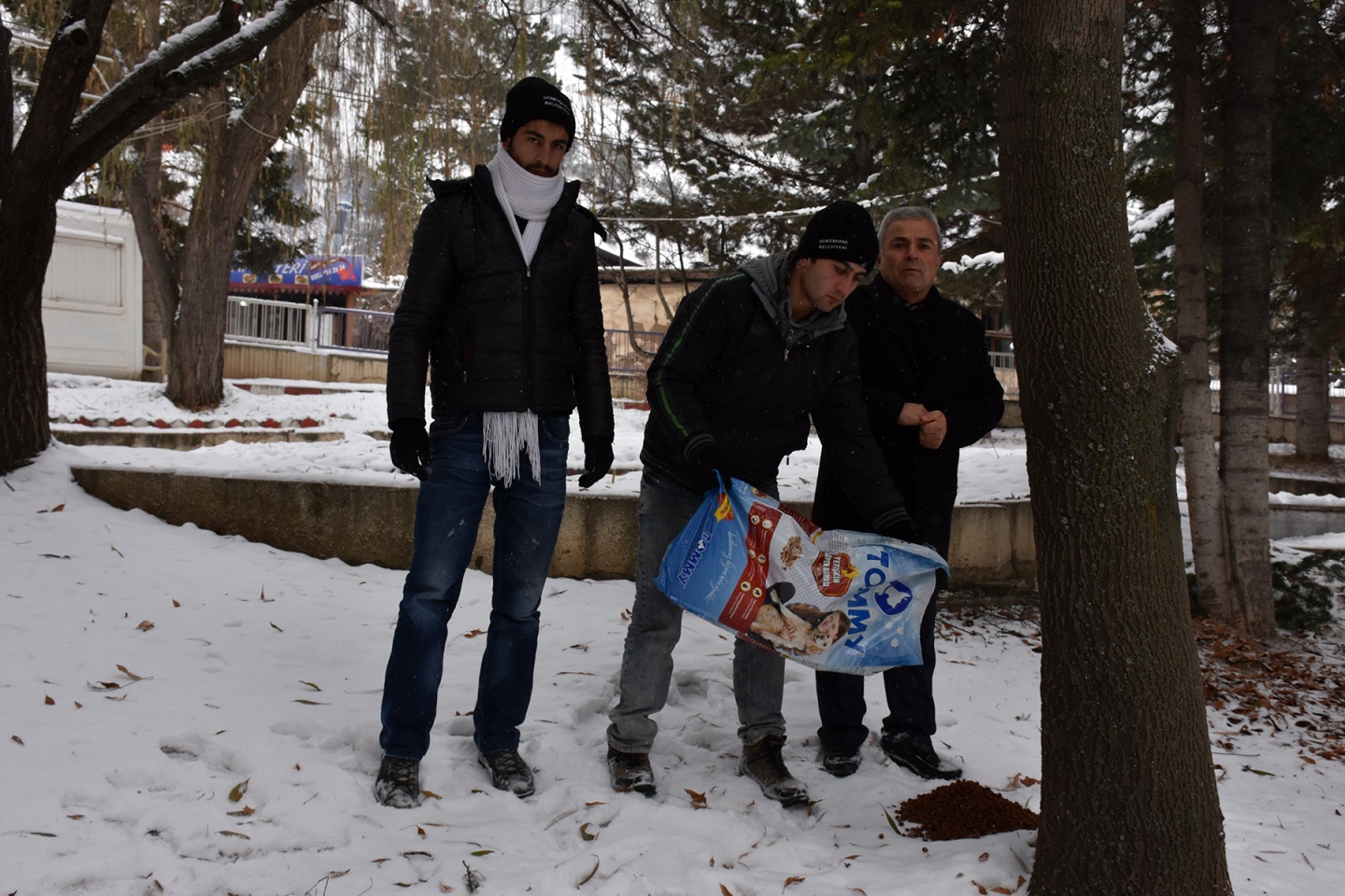 Belediye, sokak hayvanlarına yem bıraktı 3