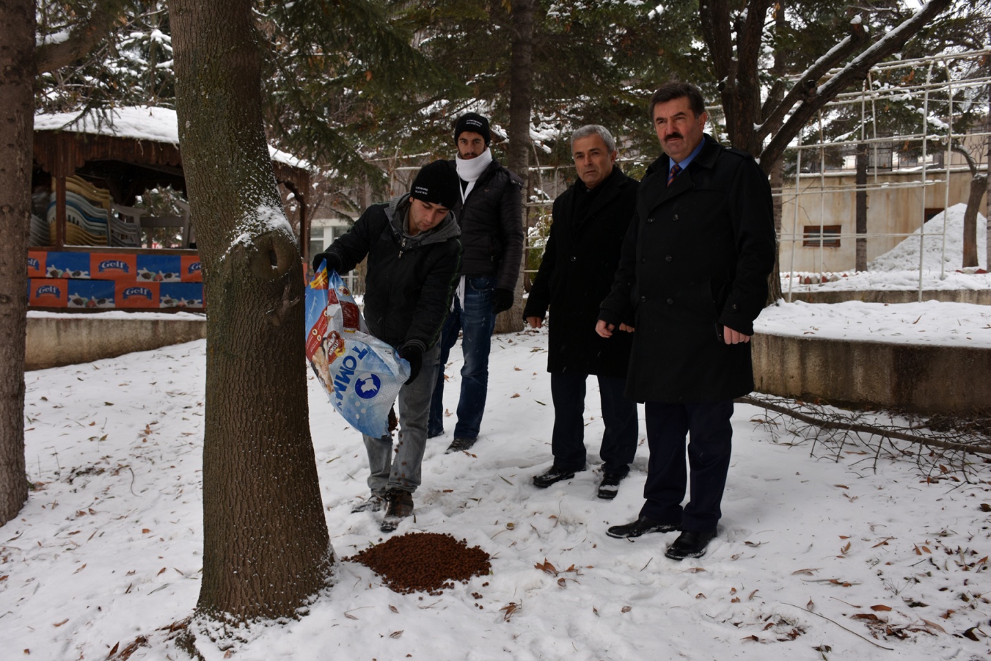 Belediye, sokak hayvanlarına yem bıraktı 1
