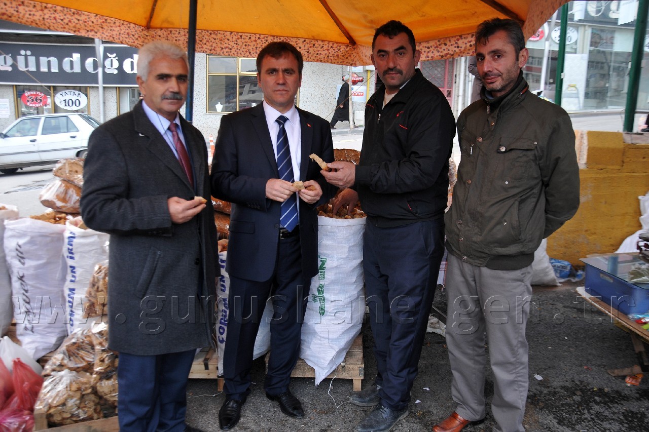 Çimen, kent pazarını gezdi 4