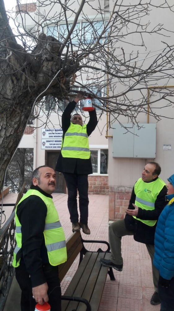 ‘Müslüman Ülkede Kuşlar Aç Kaldı Demesinler’ 2