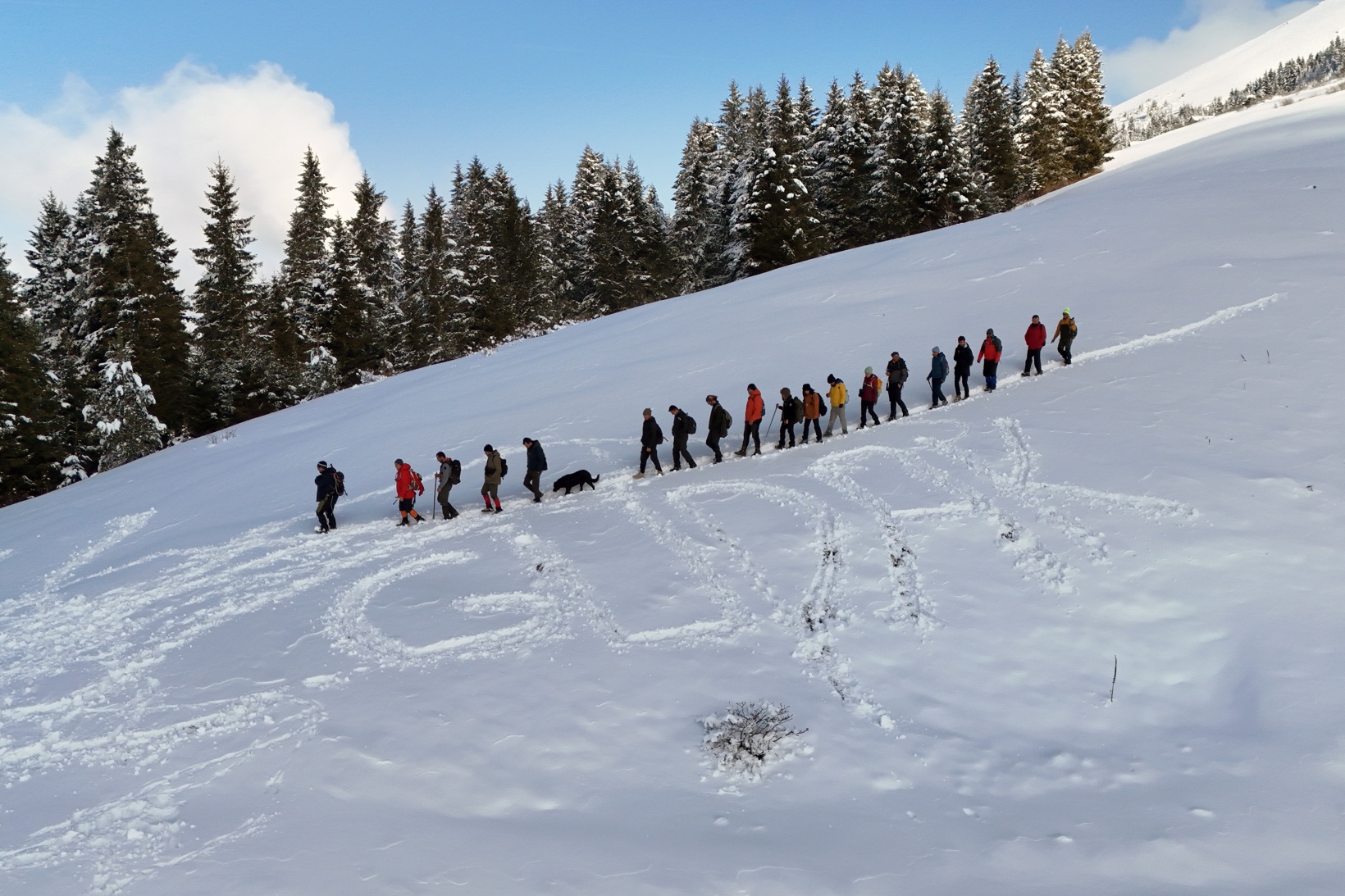 Tohtamur Yaylasında masalsı kış yürüyüşü 12