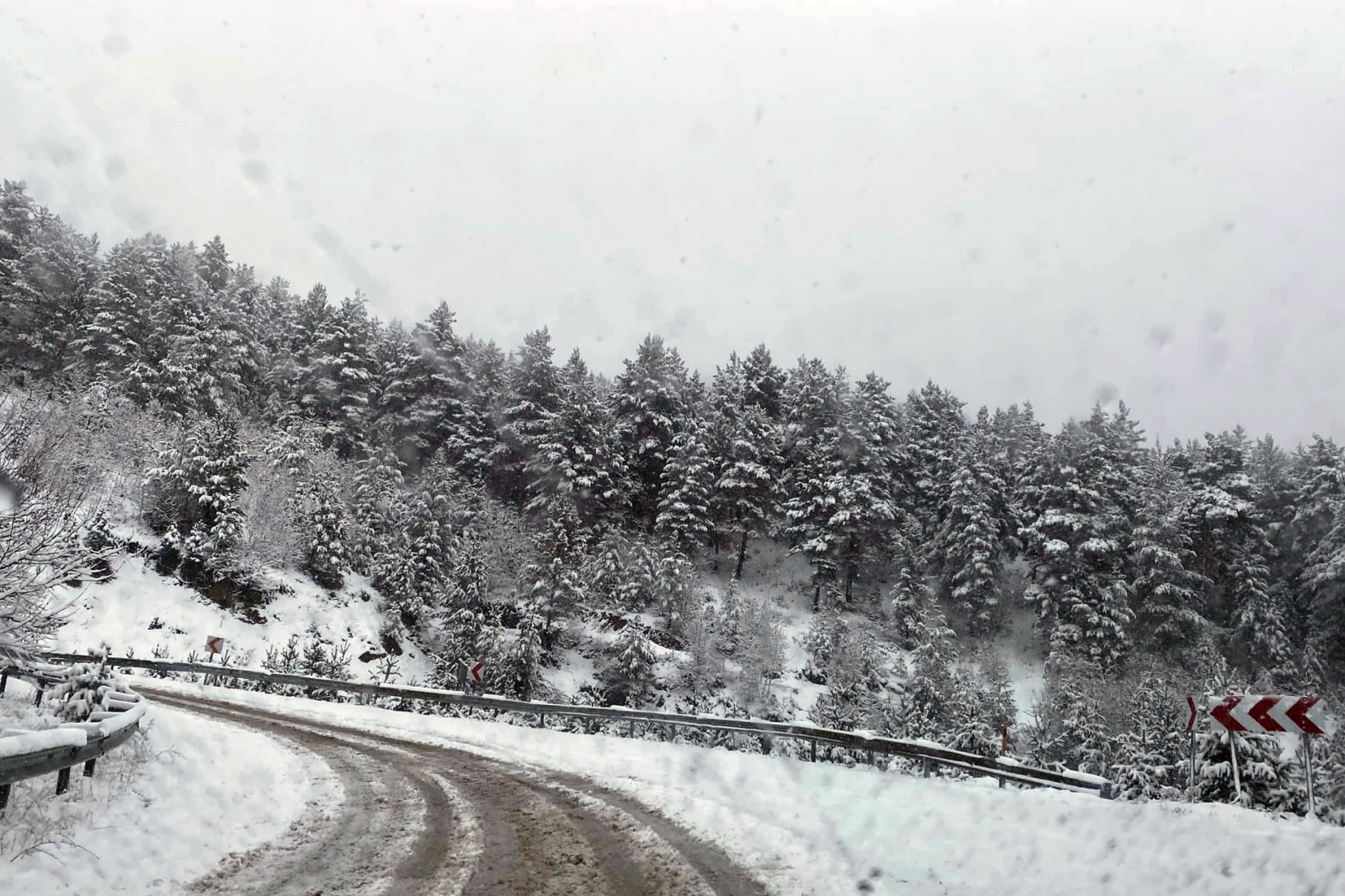 Gümüşhane’nin yükseklerinde kar yağışı etkili oluyor 3