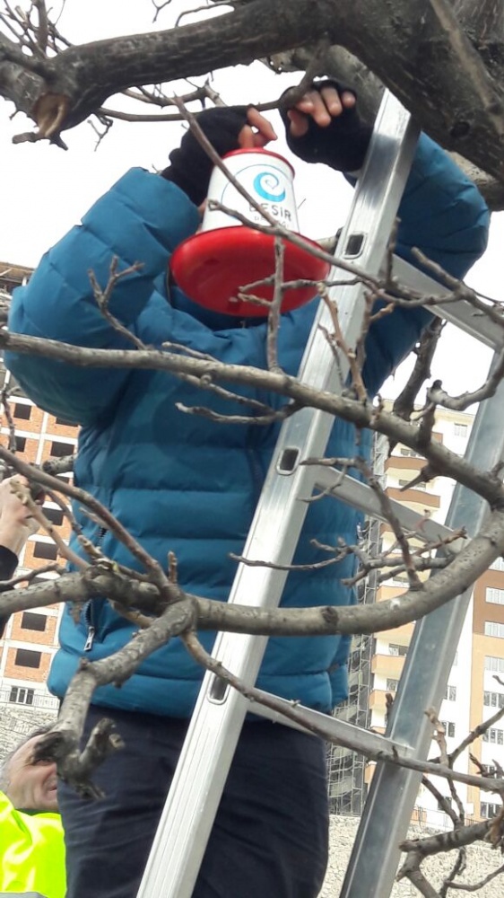 ‘Müslüman Ülkede Kuşlar Aç Kaldı Demesinler’ 4