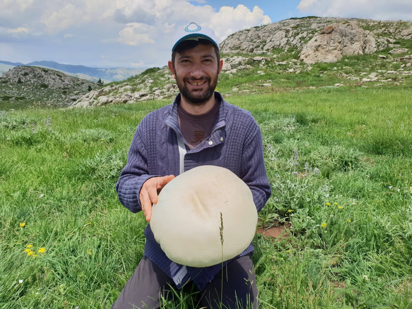 Gümüşhane’de görenleri şaşkına çeviren dev mantarlar bulundu 2