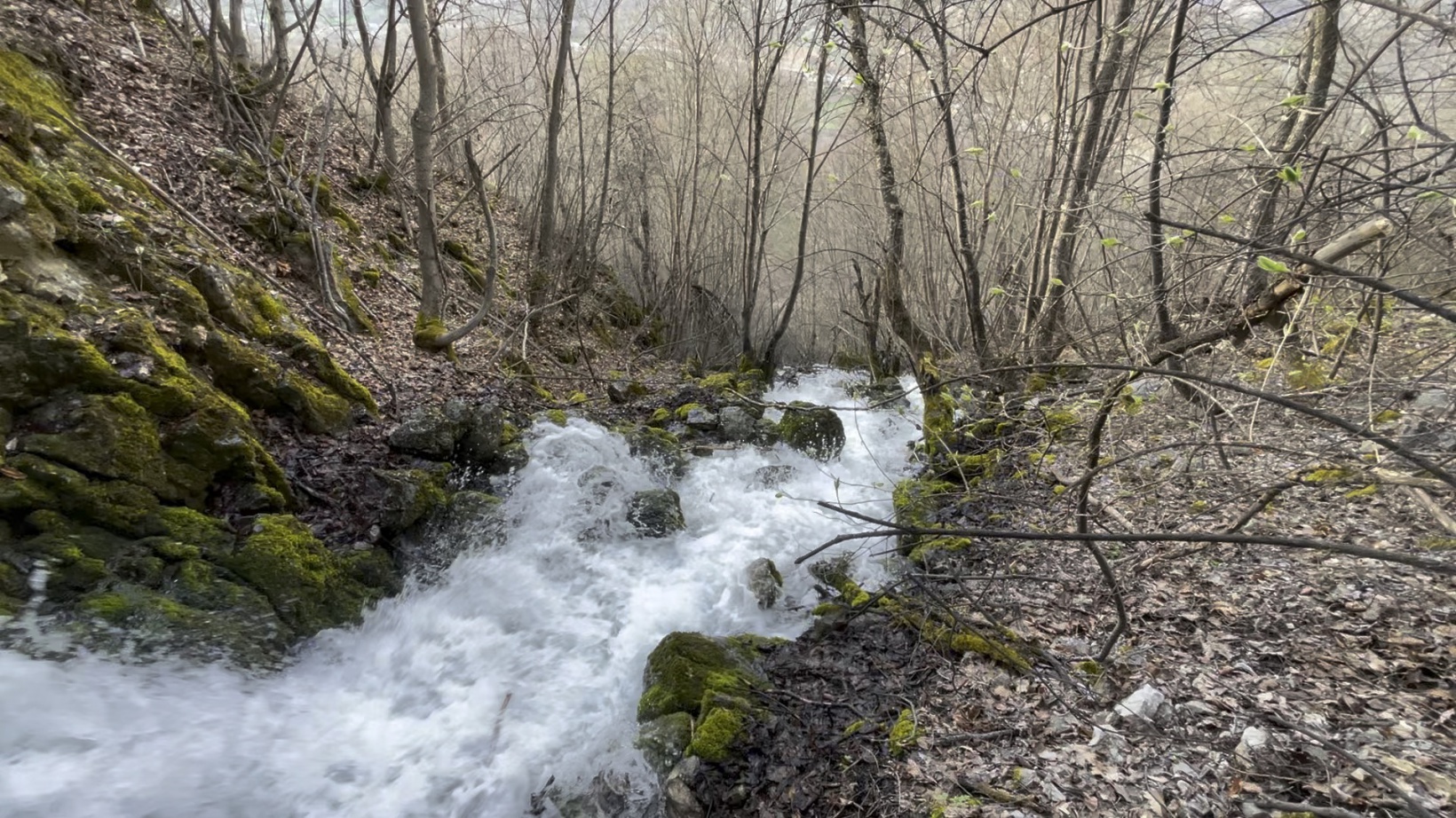 Gümüşhane'nin gizemli su kaynakları: Baharda çıkıp yazın kayboluyor 8