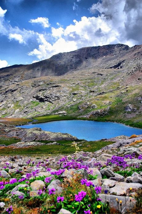 Torul HES’e karşı 4