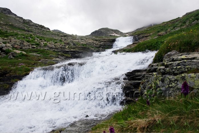 Torul HES’e karşı 7