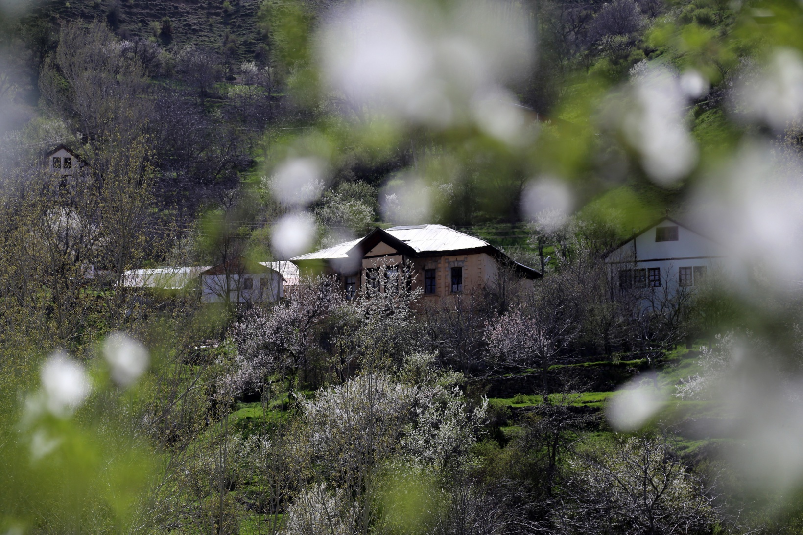 Tarihi mahalle bahar renklerine büründü, görsel şölen oluştu 16