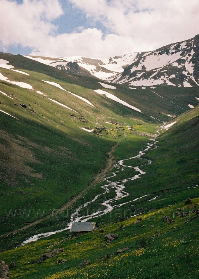 Torul HES’e karşı 20