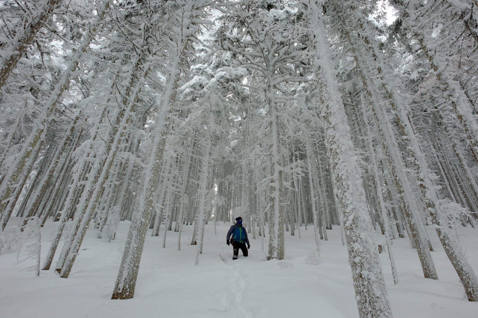 Gümüşhane'nin zirvelerinde kutupları aratmayan yürüyüş 59