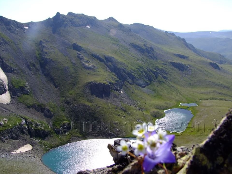 Torul HES’e karşı 26