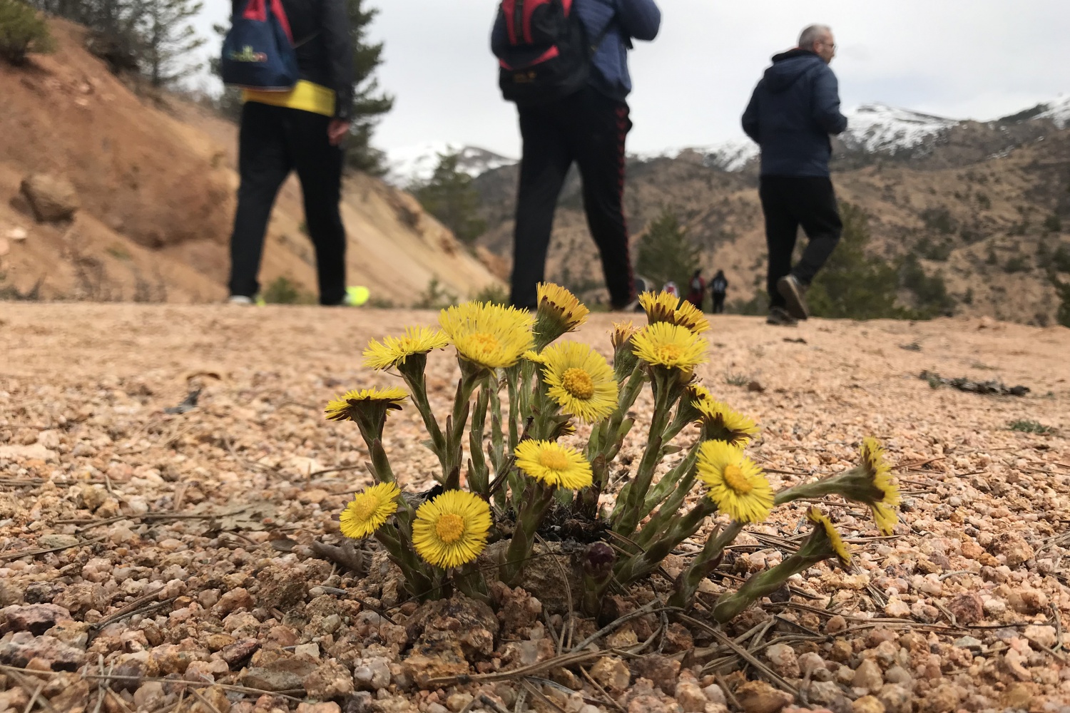 Gümüşhaneli dağcılardan Kelkit’te bahar yürüyüşü 9