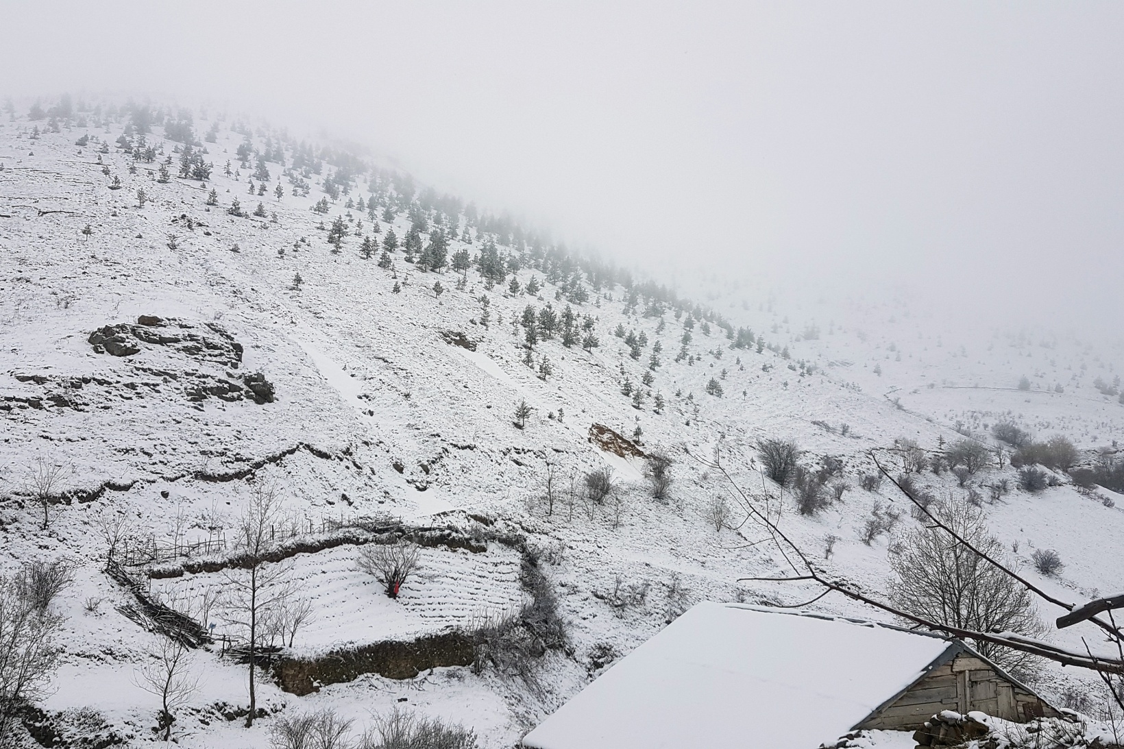 Gümüşhane'nin yüksek kesimlerinde kar yağışı başladı 5