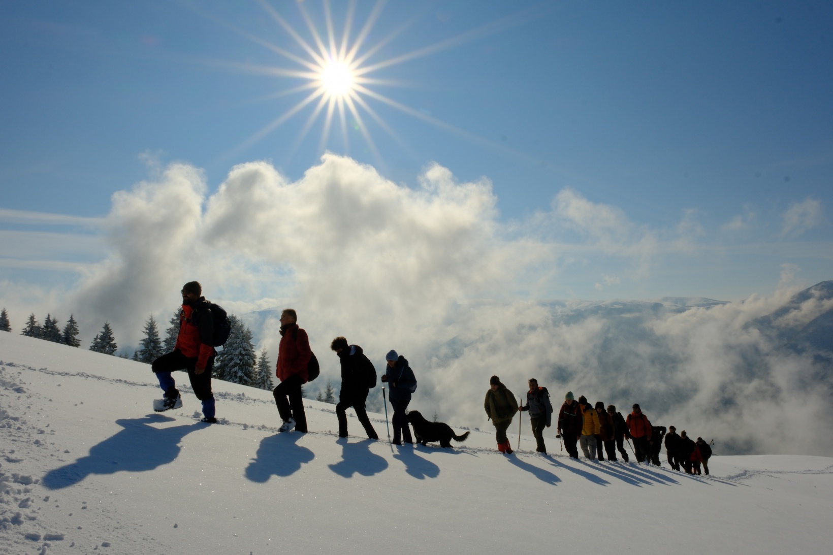 Tohtamur Yaylasında masalsı kış yürüyüşü 3